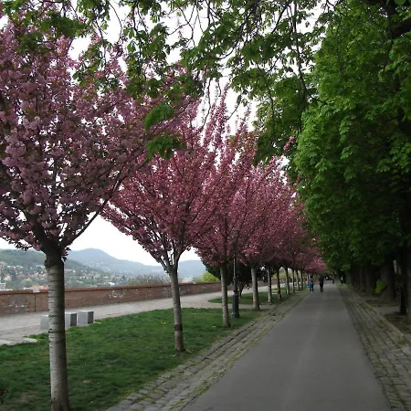 Buda Castle - Inside Buda Castle Апартаменты Будапешт